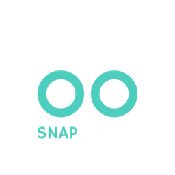 Logo Snap Syntax